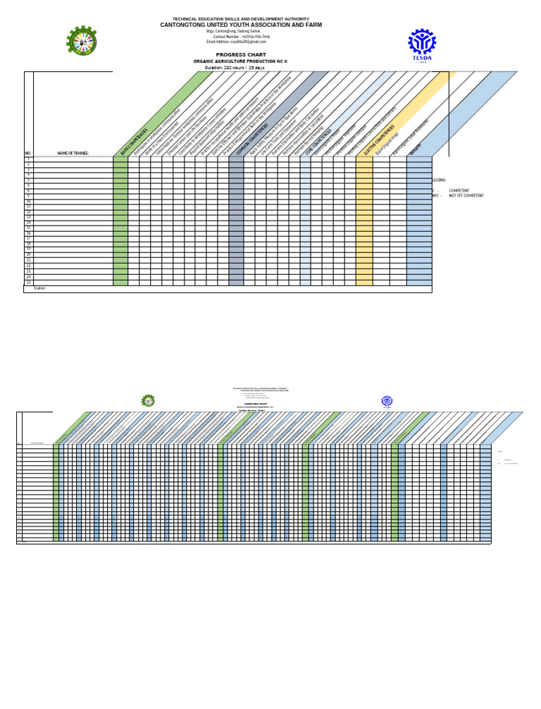 Progress Chart Achivment 2025 | PDF