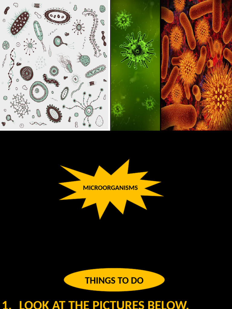 Year 6 Microorganisms AiA | PDF | Microorganism | Infection