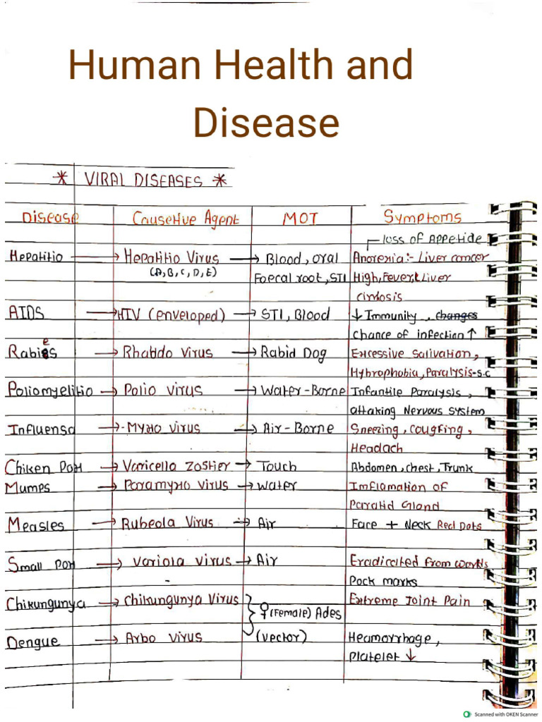 Human Health | PDF