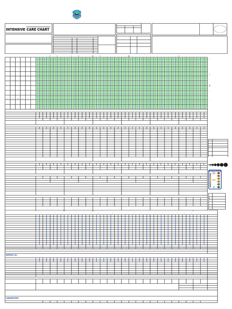 Intensive Care Monitoring Chart | PDF | Diseases And Disorders | Physiology