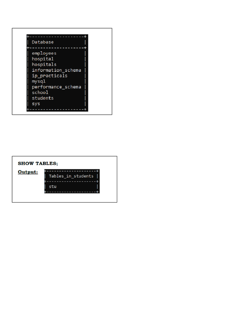 Computer SQL Print Out | PDF
