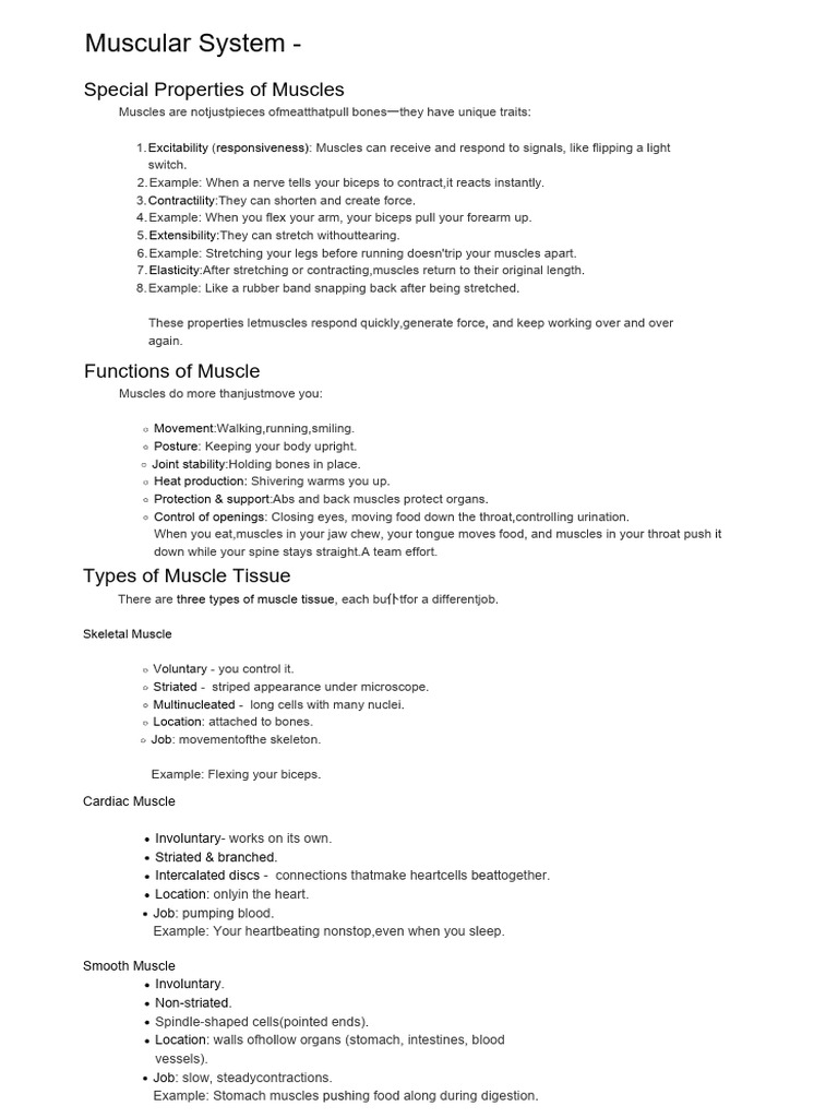 Understanding Muscle Properties and Functions | PDF | Muscle ...