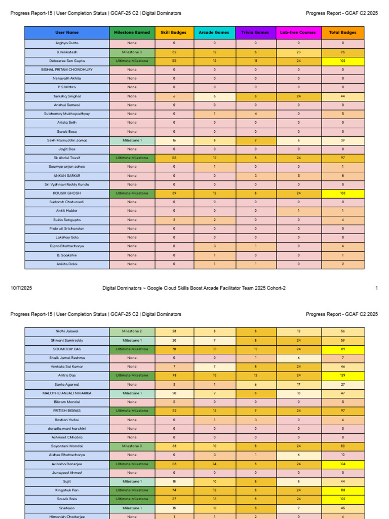 GCAF C2 2025 User Progress Report | PDF