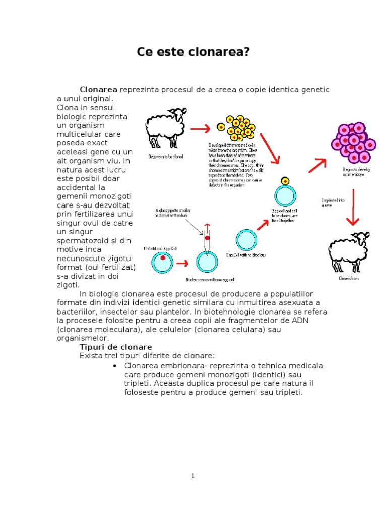 Clonarea | PDF