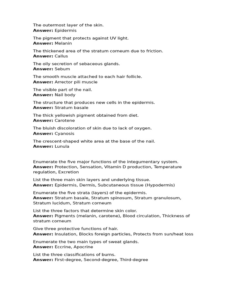 Understanding the Epidermis Layer | PDF | Skin | Integumentary System