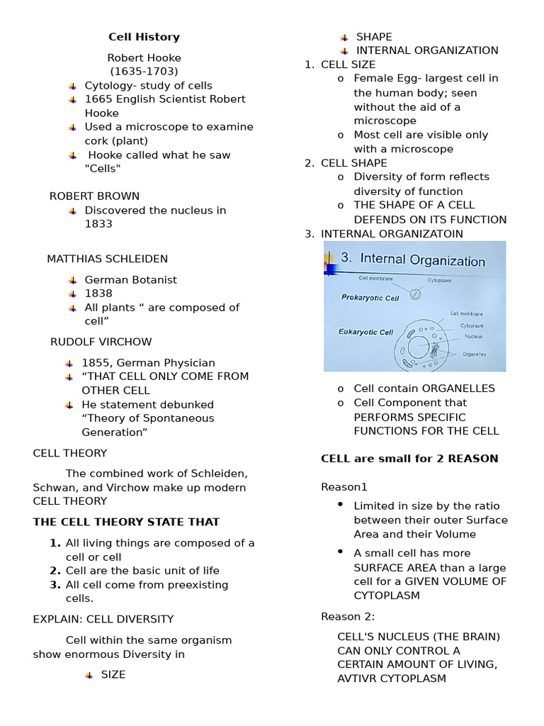 Cell History (Biochem) | PDF | Cell (Biology) | Endoplasmic Reticulum