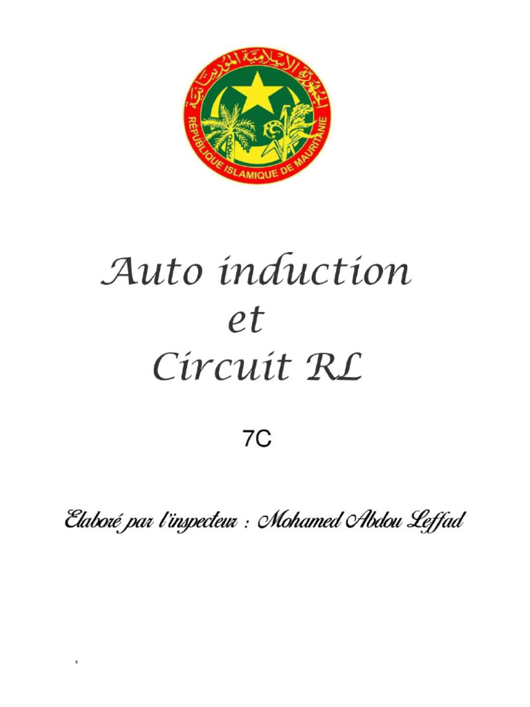 Phénomènes d'auto-induction et circuits RL | PDF | Inducteur ...