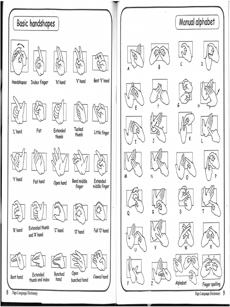 Alphabet and Handshapes | PDF