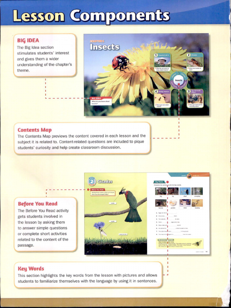 Subject Link 6 | PDF