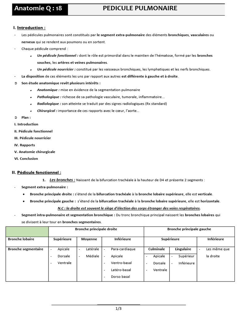 anatomie-des-p-dicules-pulmonaires-pdf-aorte-thorax