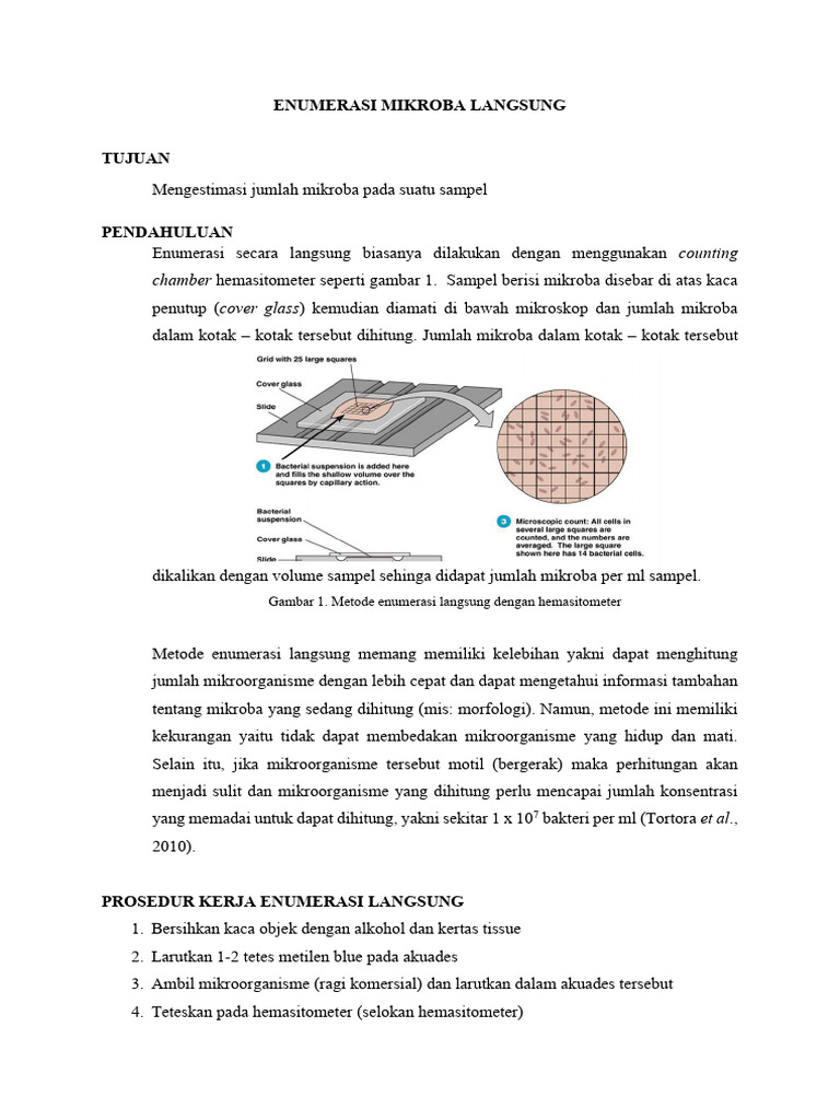 Metode Enumerasi Mikroba Langsung | PDF