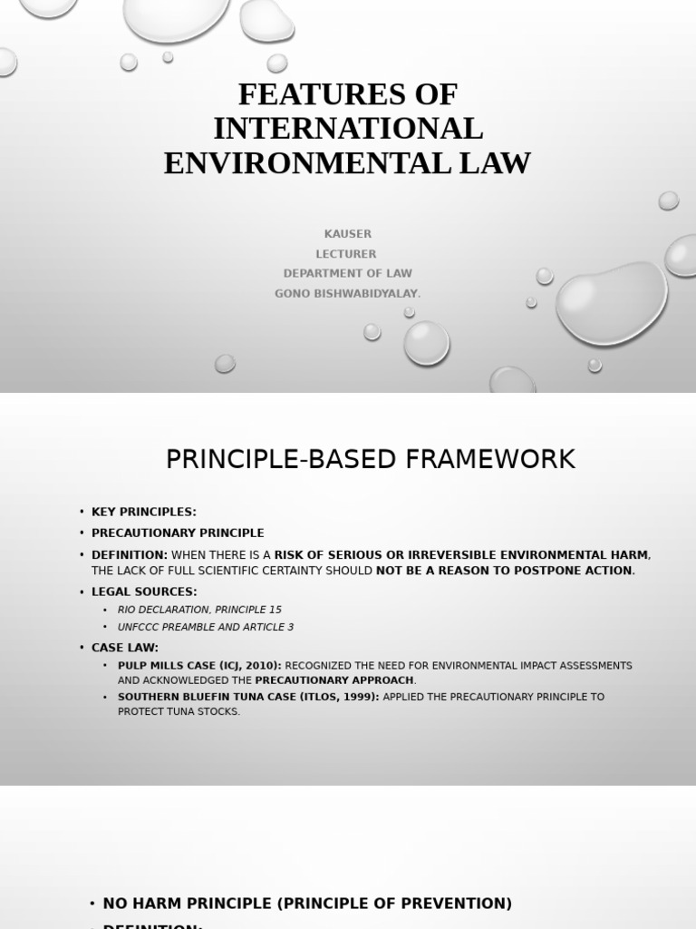 Key Principles of International Environmental Law | PDF | Environmental ...
