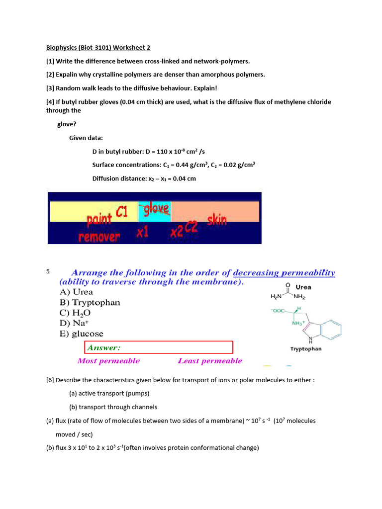 Biophysics Worksheet: Polymer Diffusion & Transport | PDF | Cell ...