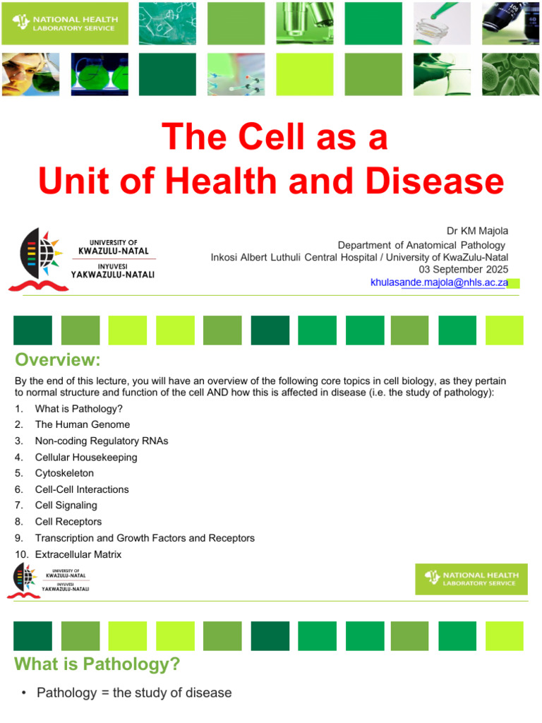 Cell Biology in Health and Disease | PDF | Extracellular Matrix | Wound ...