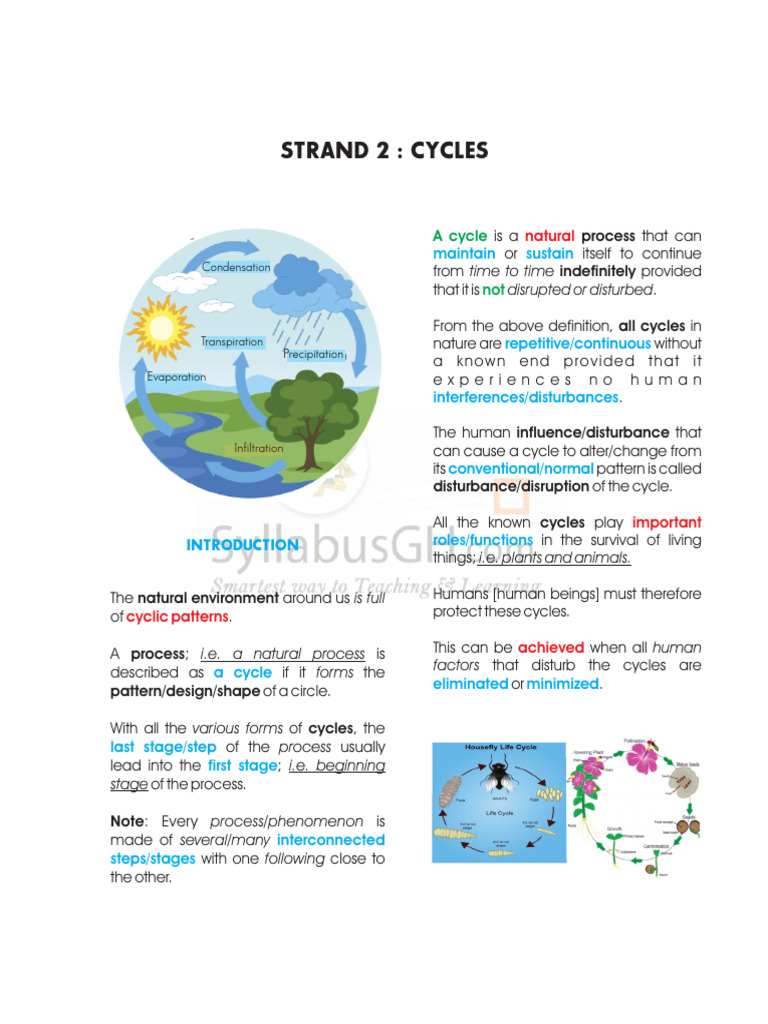 Understanding the Carbon Cycle | PDF | Carbon Dioxide | Carbon Cycle