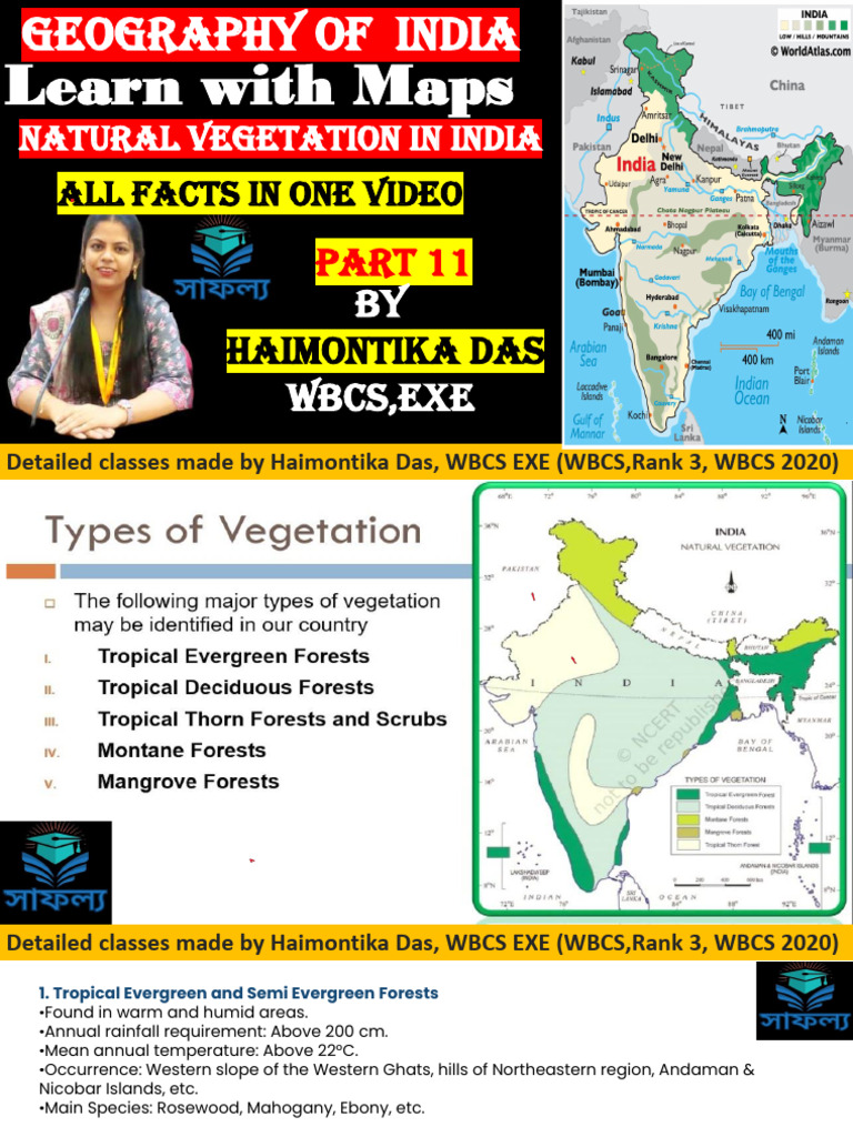Natural Vegetation of India | PDF | Mangrove | Forests