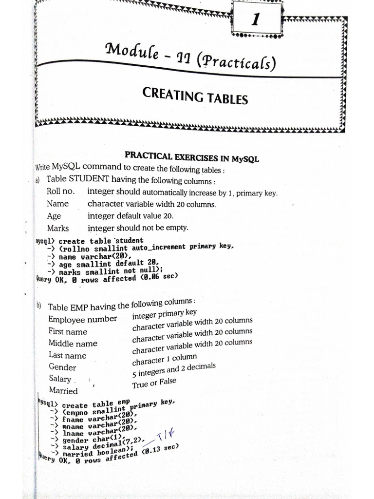 Computer Practical PDF-1 | PDF