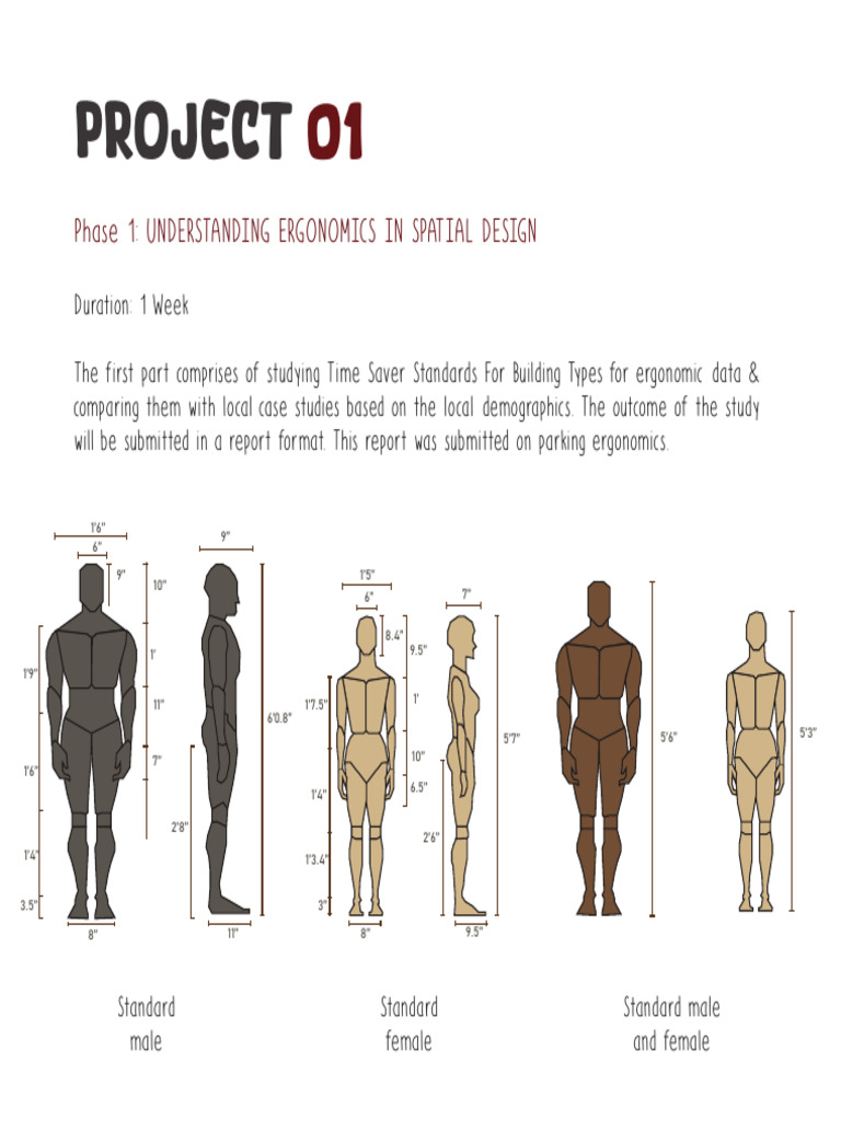 Ergonomics in Spatial Design Report | PDF