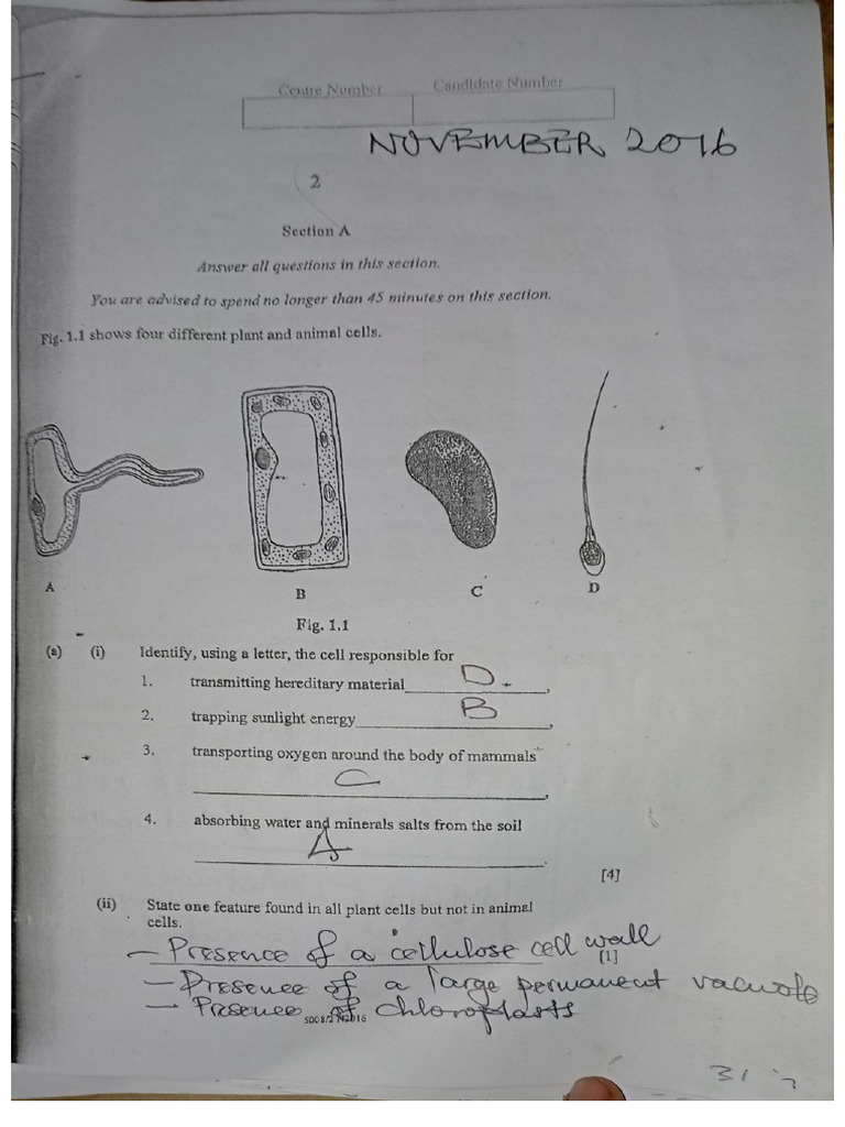 BIO Marking Schemes | PDF