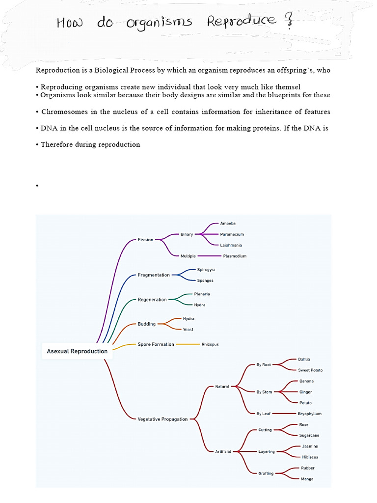 Understanding Organism Reproduction | PDF | Human Reproduction ...