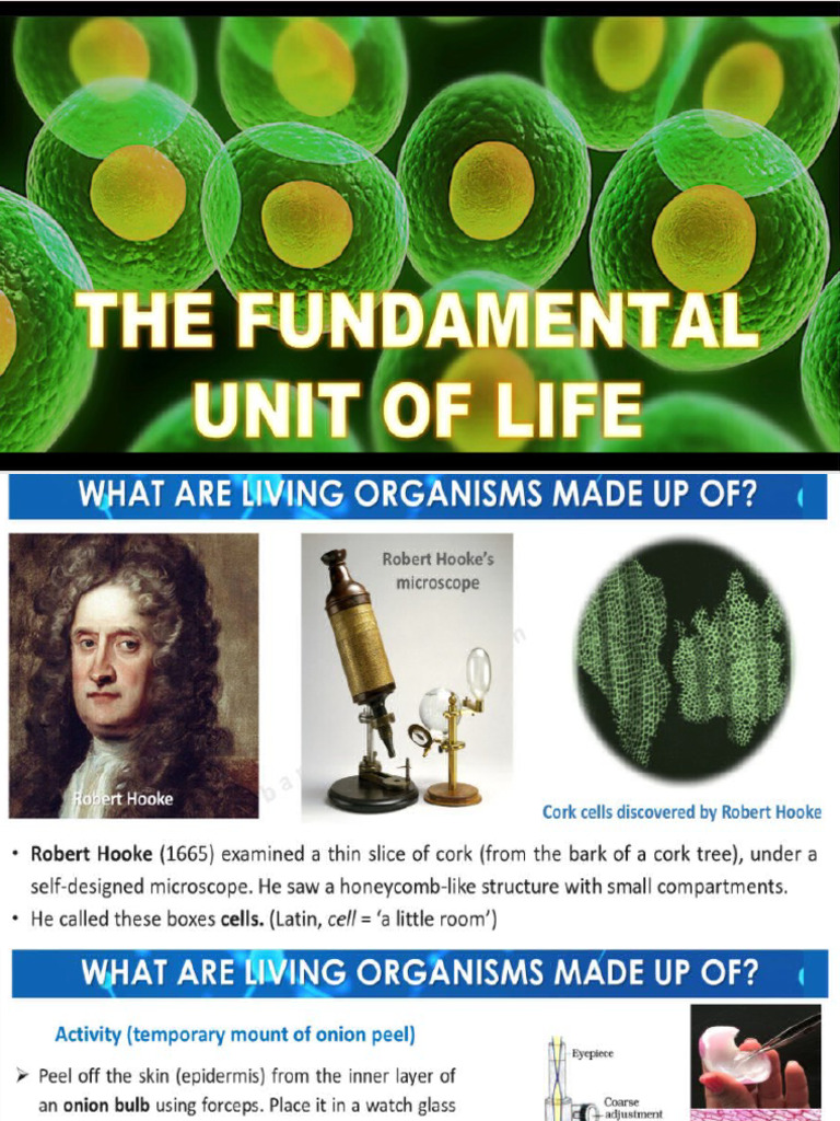 9 - Cell | PDF