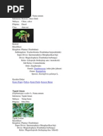 Download Ken Cur by Kharisma Ganda SN93159255 doc pdf