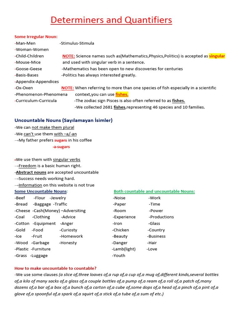 Determiners and Quantifiers Explained | PDF | Plural | Noun