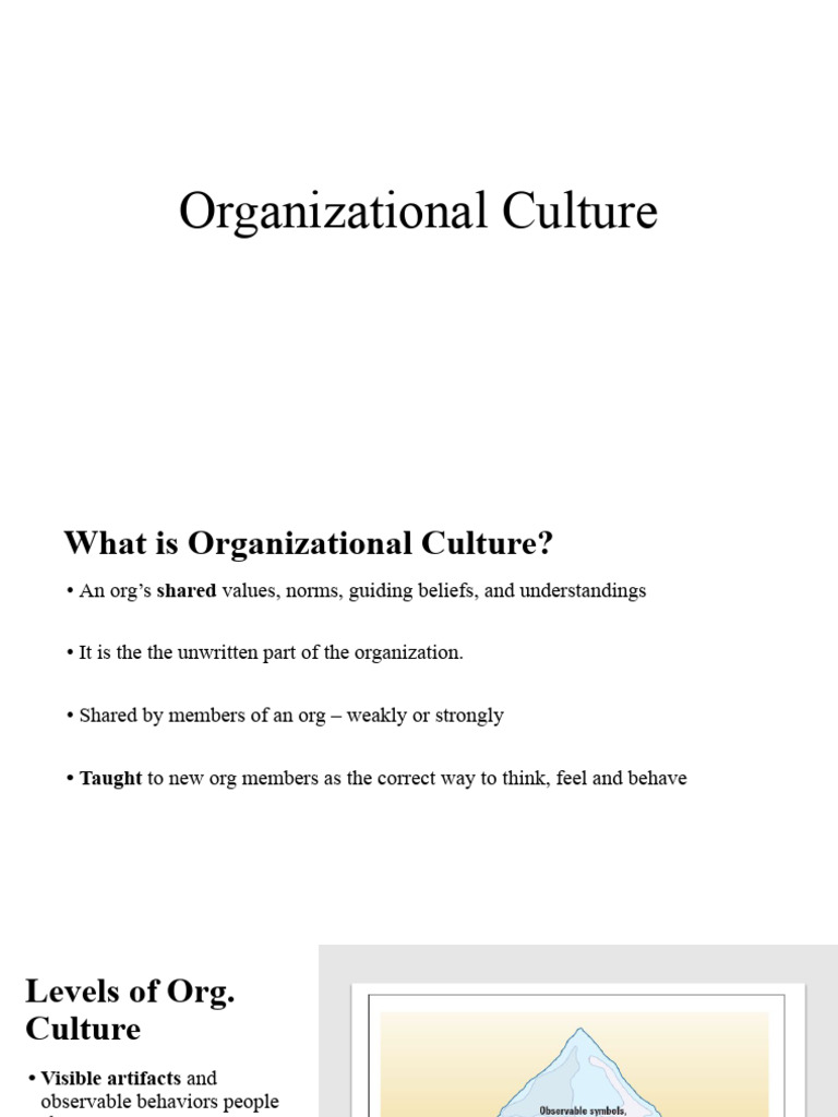 Understanding Organizational Culture Dynamics | PDF | Organizational ...