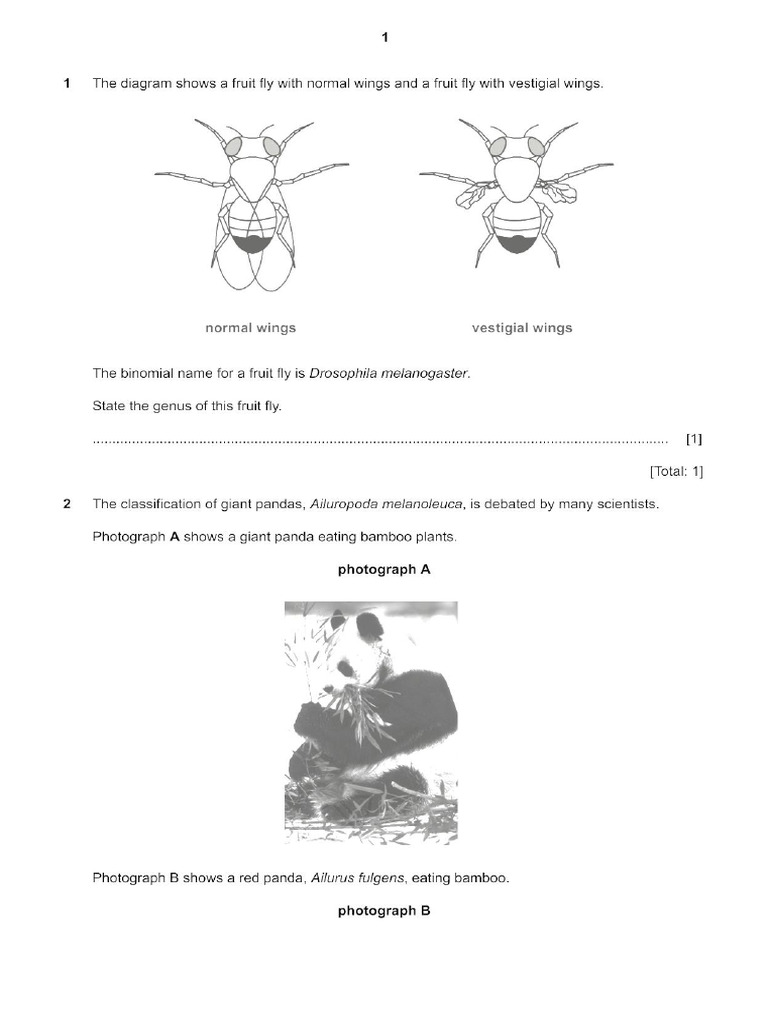 1.1 Classification System QP-2 | PDF