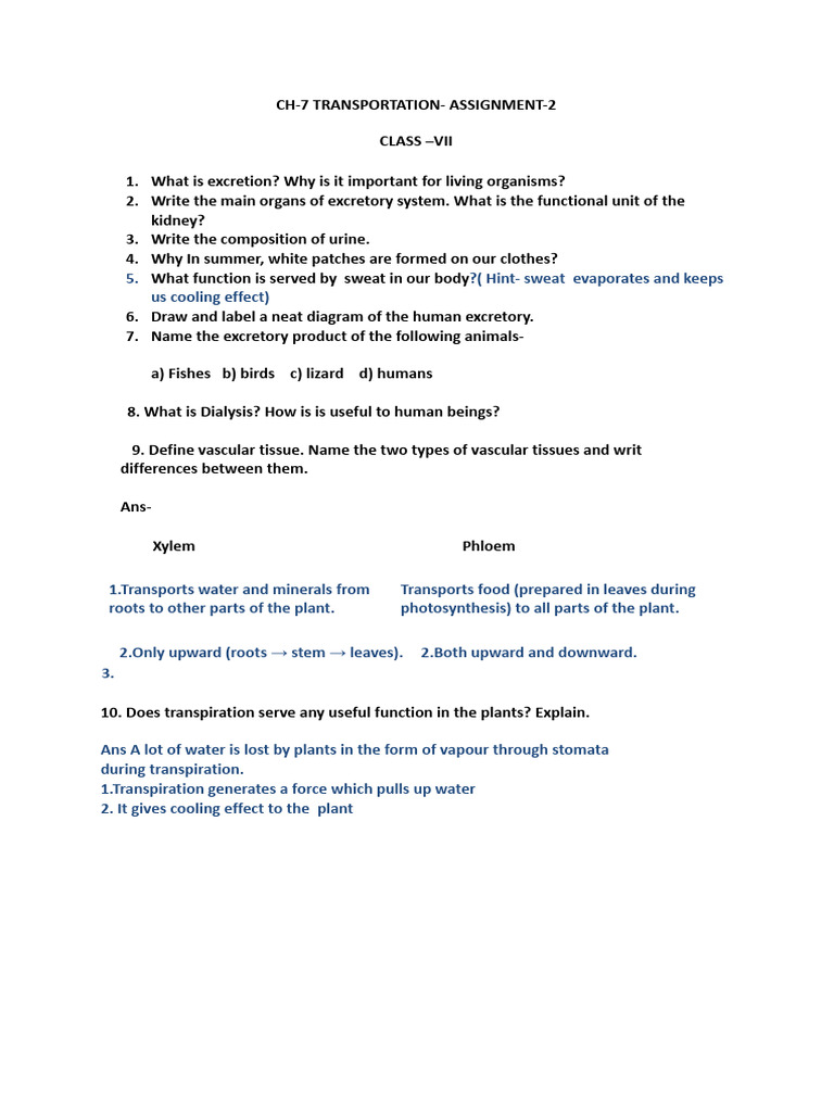 CH 7 Transportation Assignment 2 | PDF