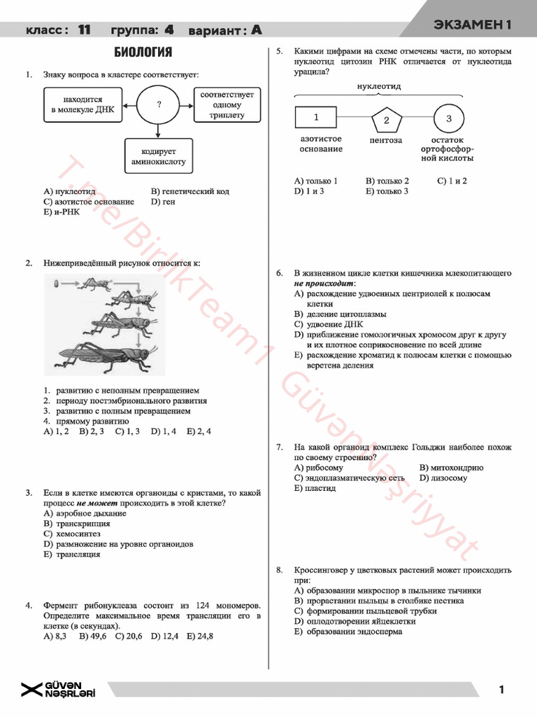 Güvən 11 RUS 4 | PDF