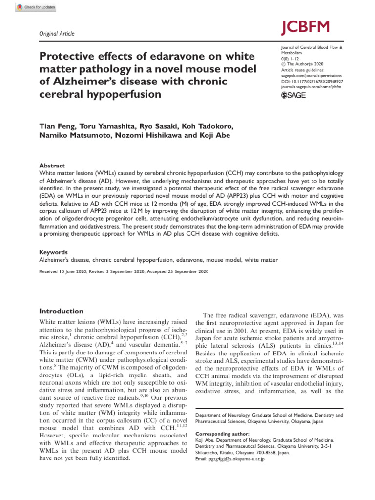 Edaravone's Role in Alzheimer's White Matter | PDF | White Matter ...