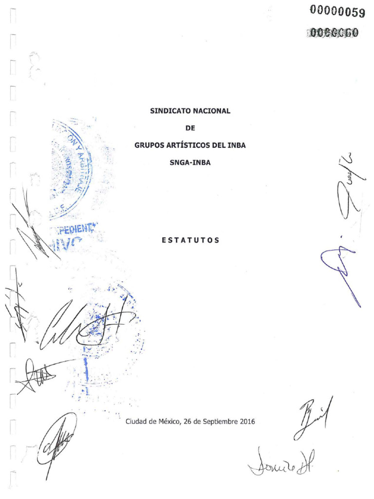 Estatuto Snga INBA | PDF