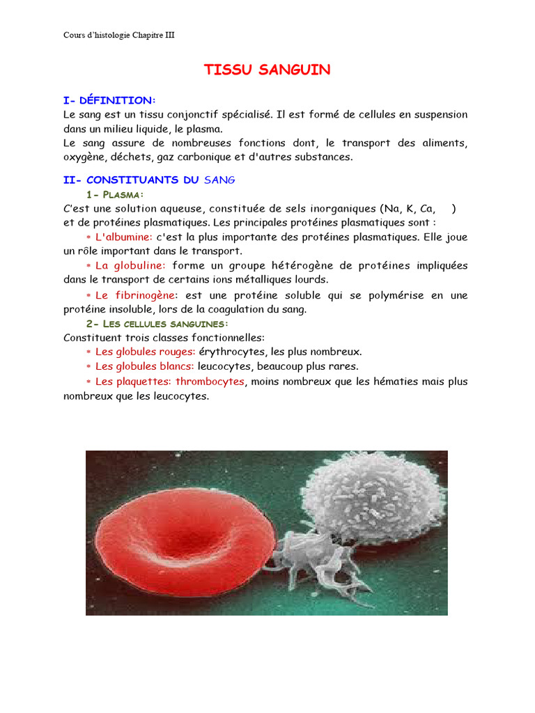 Tissu Sanguin : Composition et Fonctions | PDF | Globule rouge | Sang