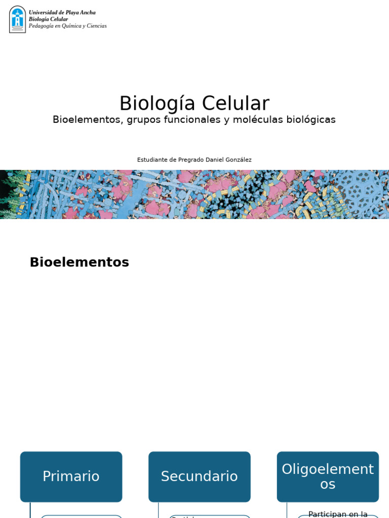 Bio Clase | PDF | Hidrocarburos | Enlace covalente