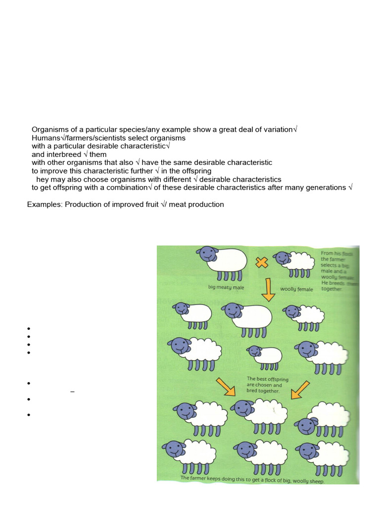 Natural vs. Artificial Selection Explained | PDF | Evolution ...