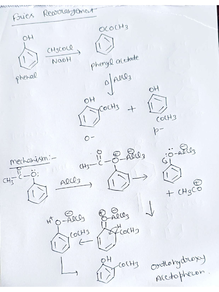 Fries Rearrangement | PDF
