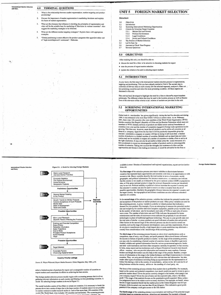 International Market Selection Strategies | PDF | Market (Economics) | Risk