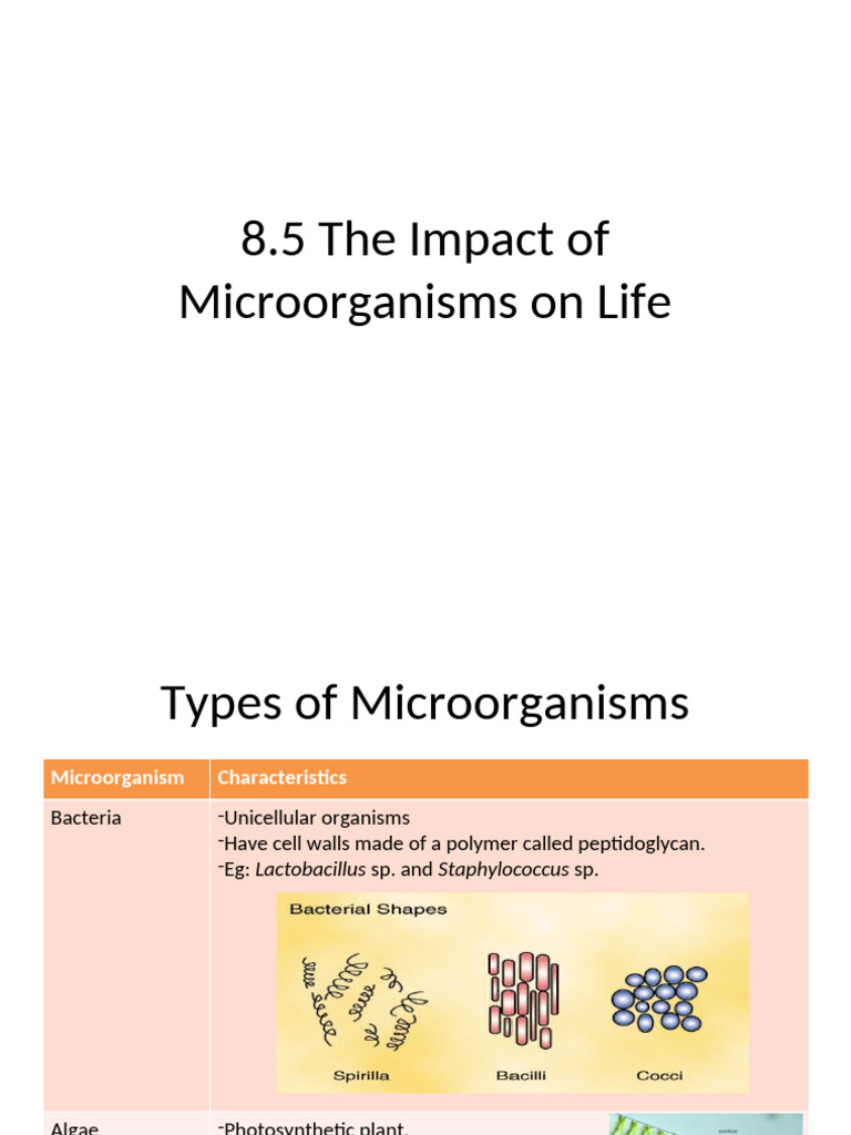 Microorganisms: Types and Impact on Life | PDF | Microorganism | Bacteria