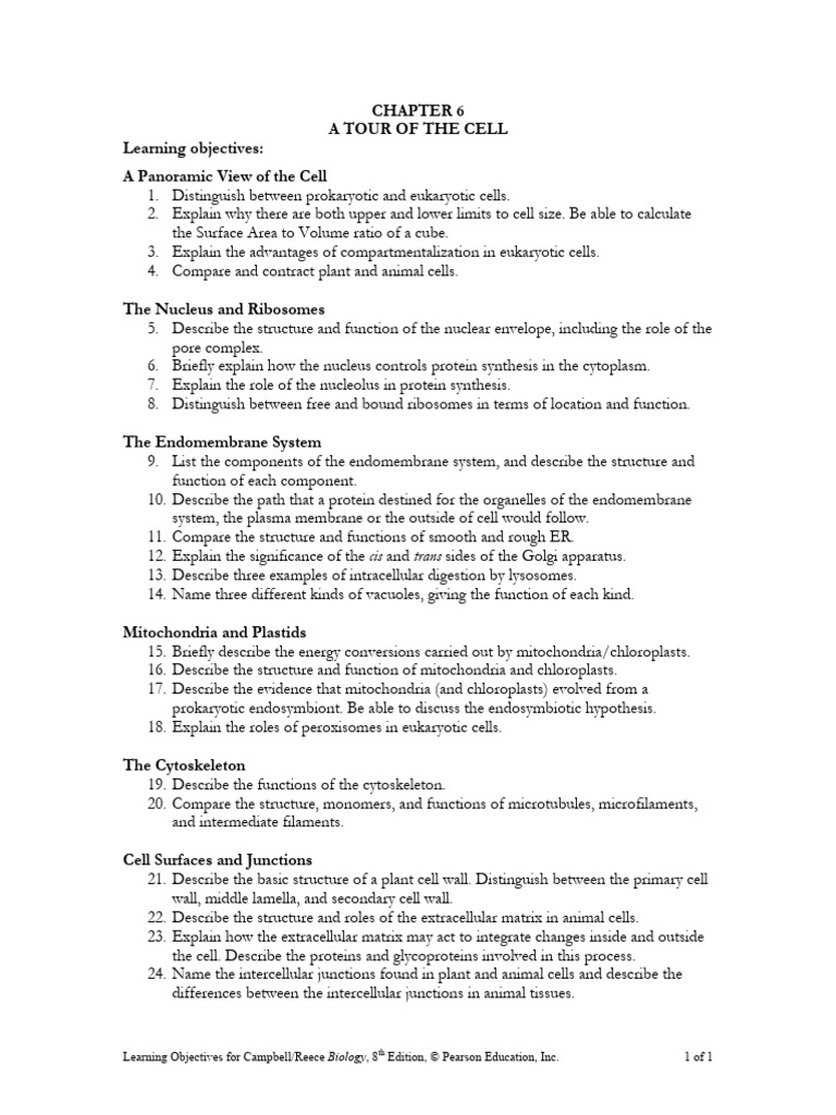 Ch3 Learning Objectives Tour of Cells | PDF | Cell (Biology ...