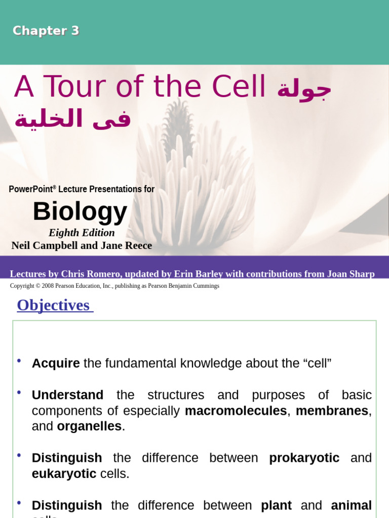 Chap - 3 - Tour of Cell. | PDF