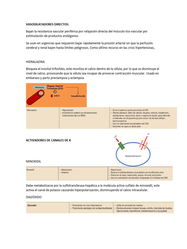 Vaso Dil | PDF