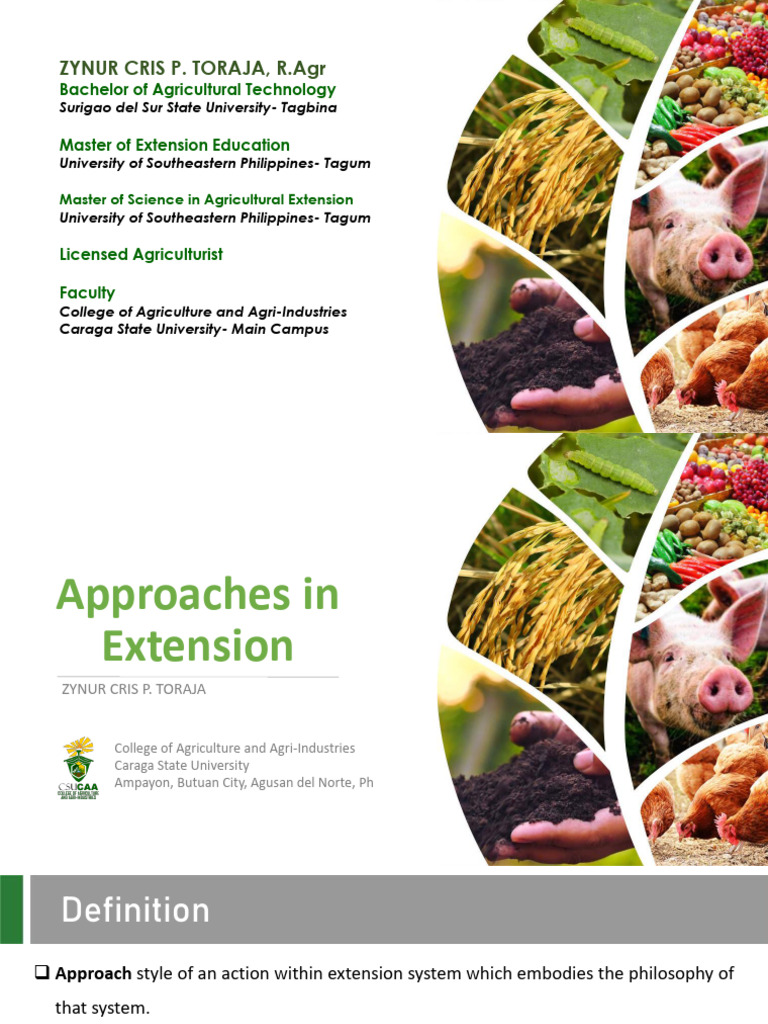 Approaches in Agricultural Extension | PDF | Agriculture | Evaluation
