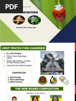 Clare R. Baltazar: Pioneer in Entomology | PDF | Insects | Insects And ...