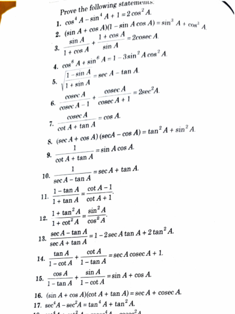 SL Loney Trigo Questions | PDF