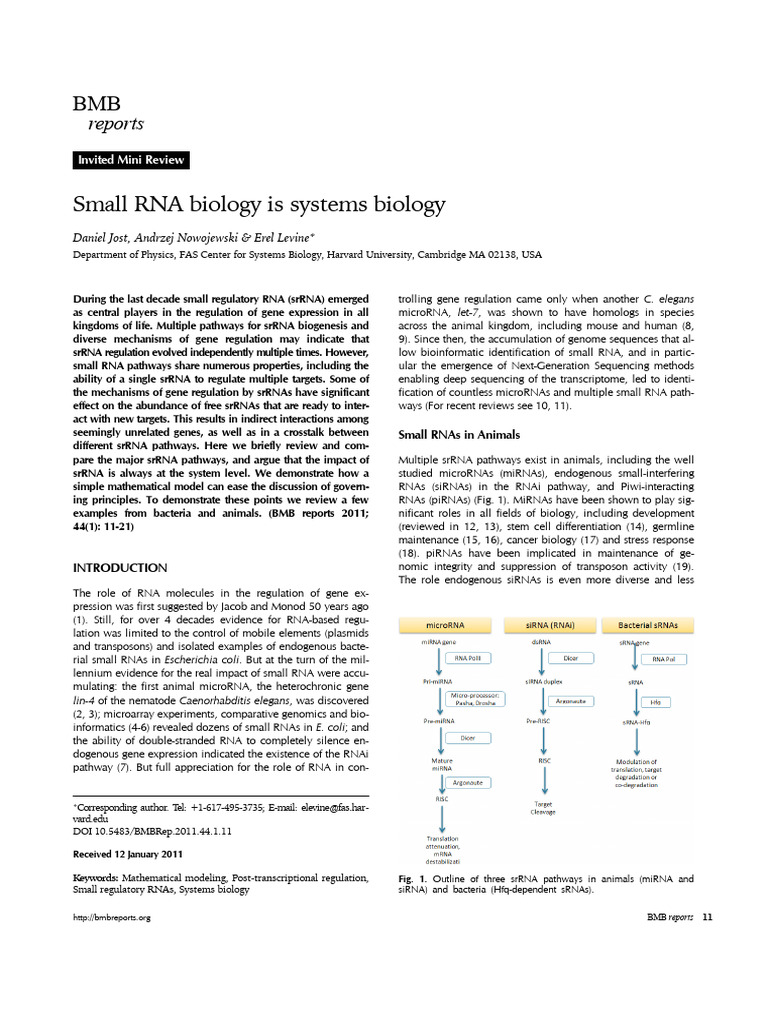 Small RNA Pathways in Systems Biology | PDF | Rna Interference | Small ...
