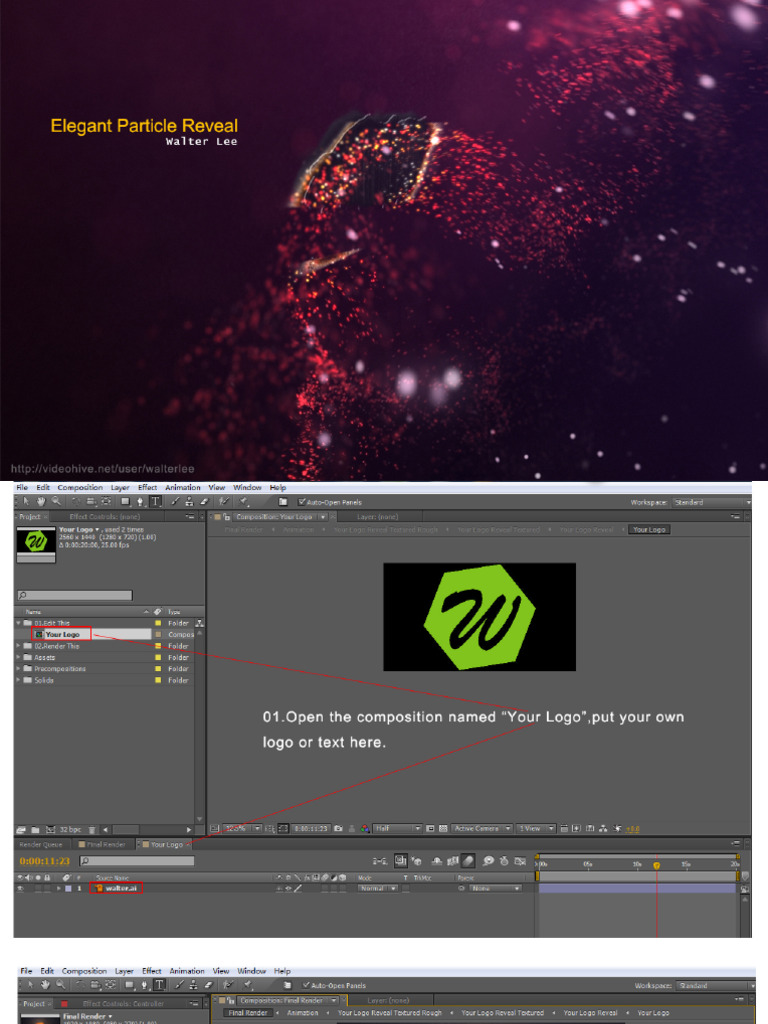 Elegant Particle Reveal | PDF