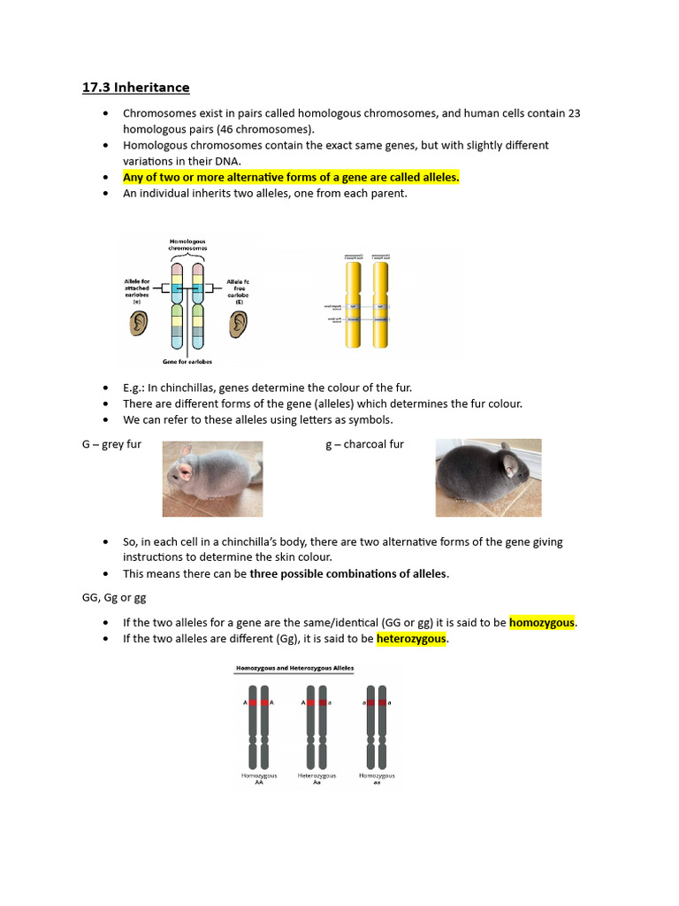 Understanding Genetic Inheritance Basics | PDF | Dominance (Genetics ...