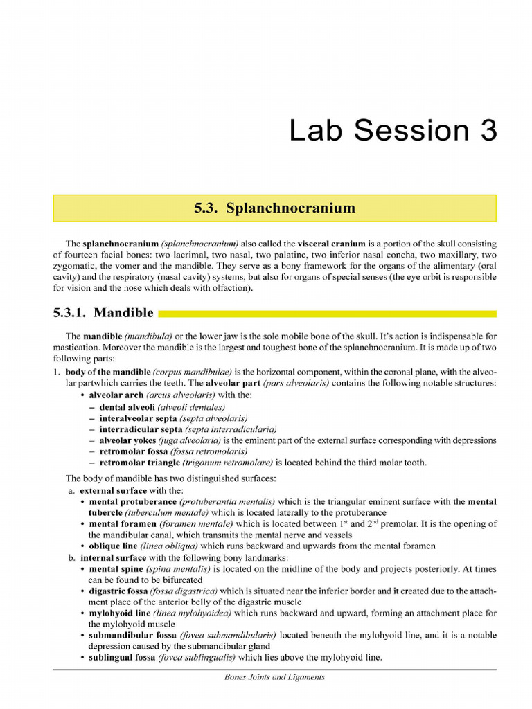 Lab Session 3 NoRestriction | PDF