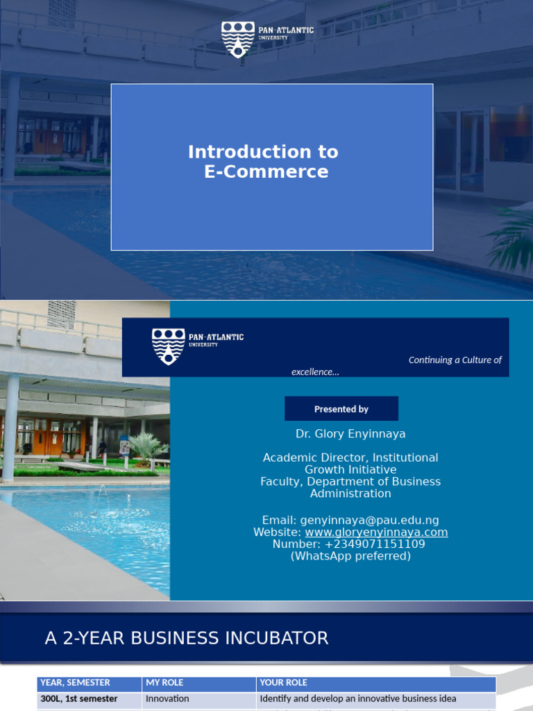 Introduction To ECommerce | PDF | E Commerce | Internet